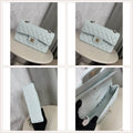 LuxySell Chanel Bags 257