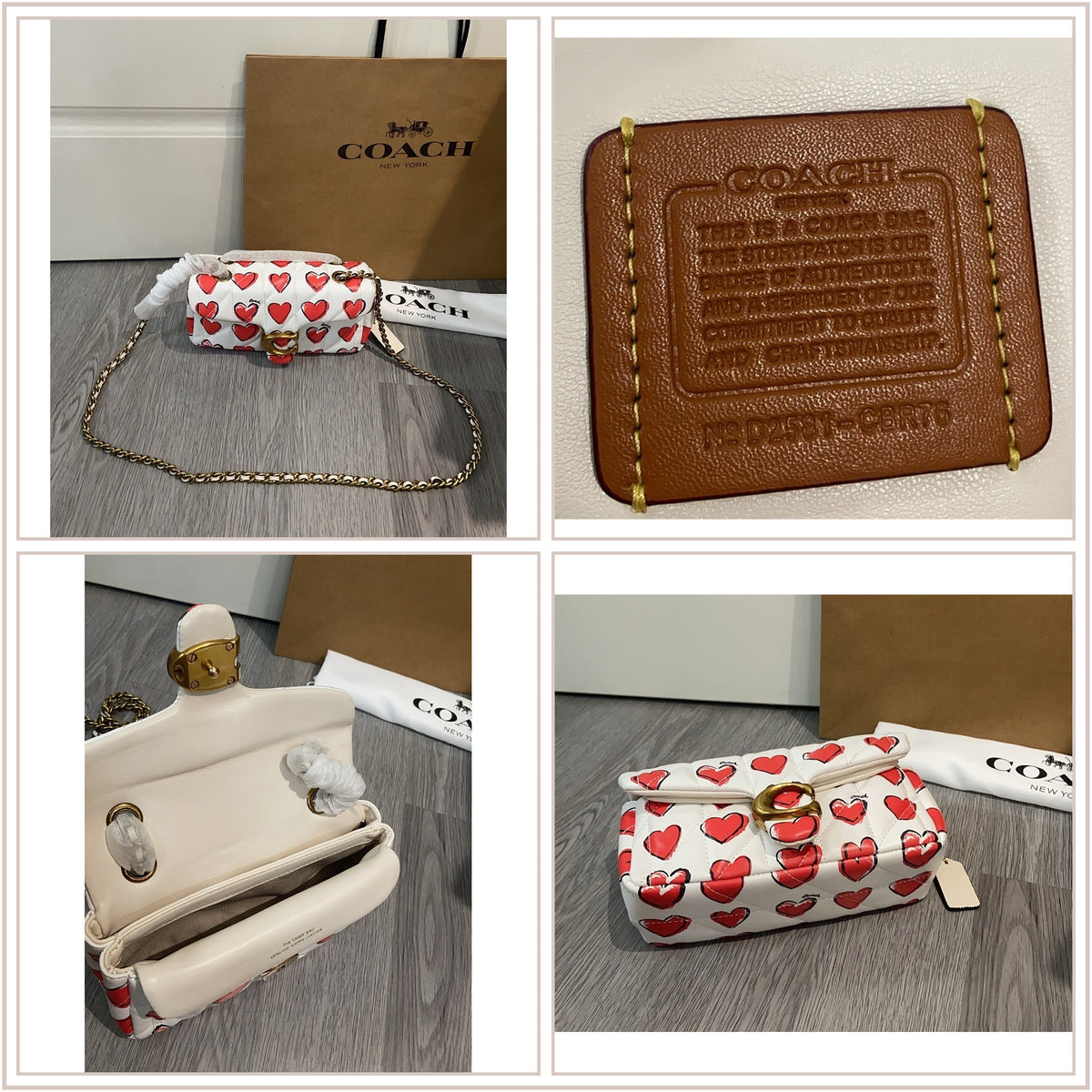 LuxySell Coach Bags 102