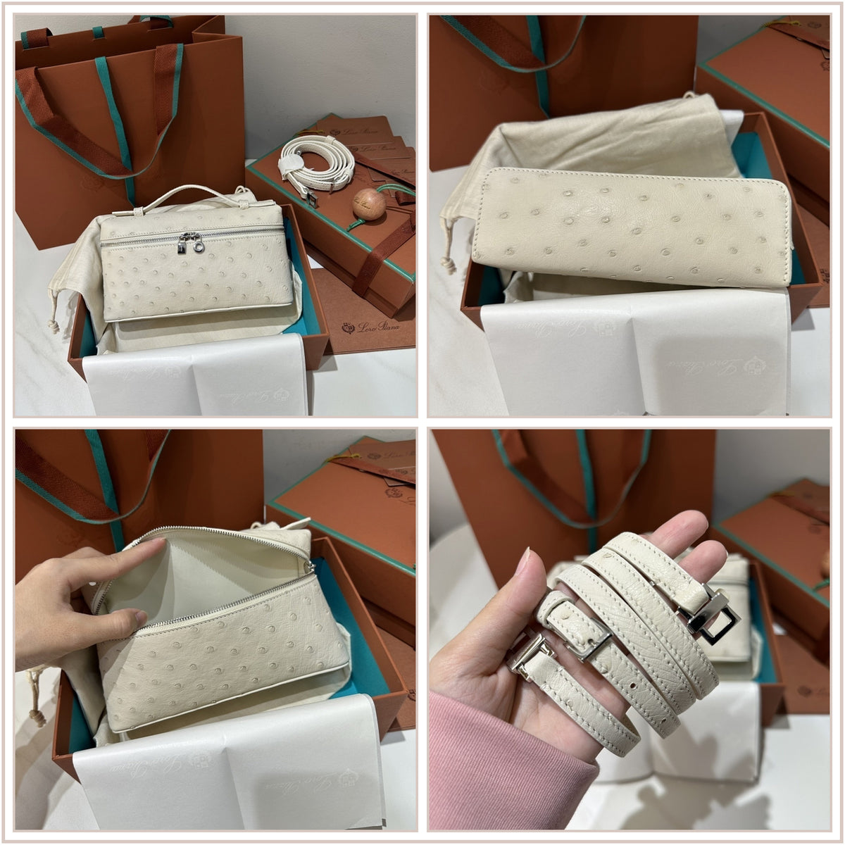 LuxySell Delvaux Bags 101