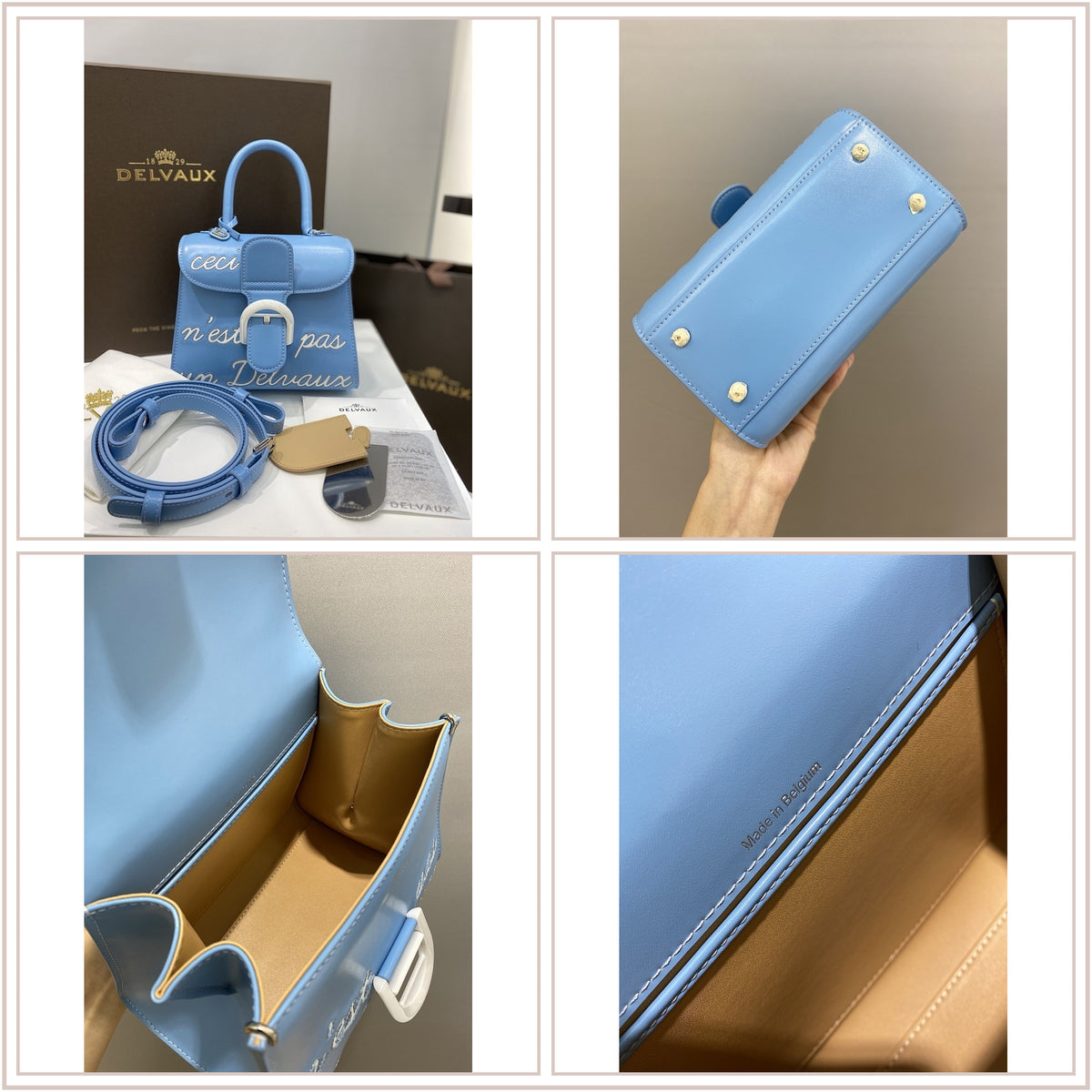 LuxySell Delvaux Bags 249