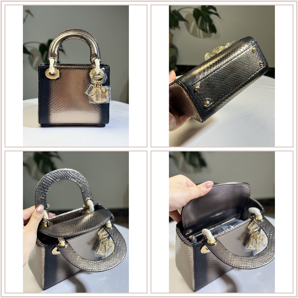 LuxySell Dior Bags 159