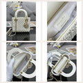 LuxySell Dior Bags 244