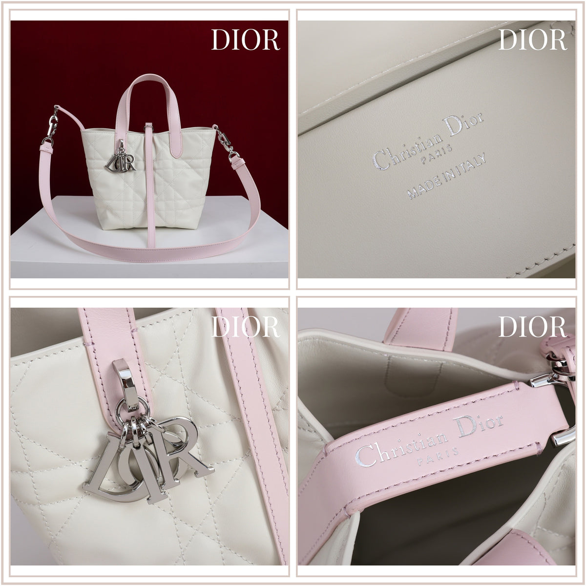 LuxySell Dior Bags 258