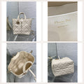 LuxySell Dior Bags 301