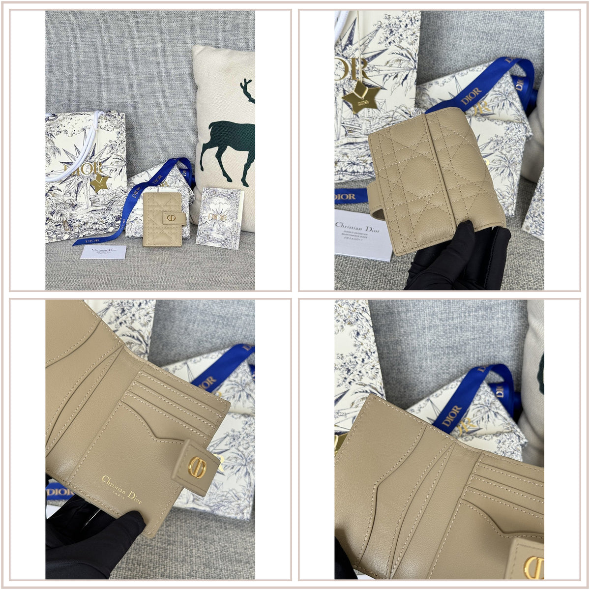 LuxySell Dior Bags 434
