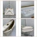 LuxySell Dior Bags 449