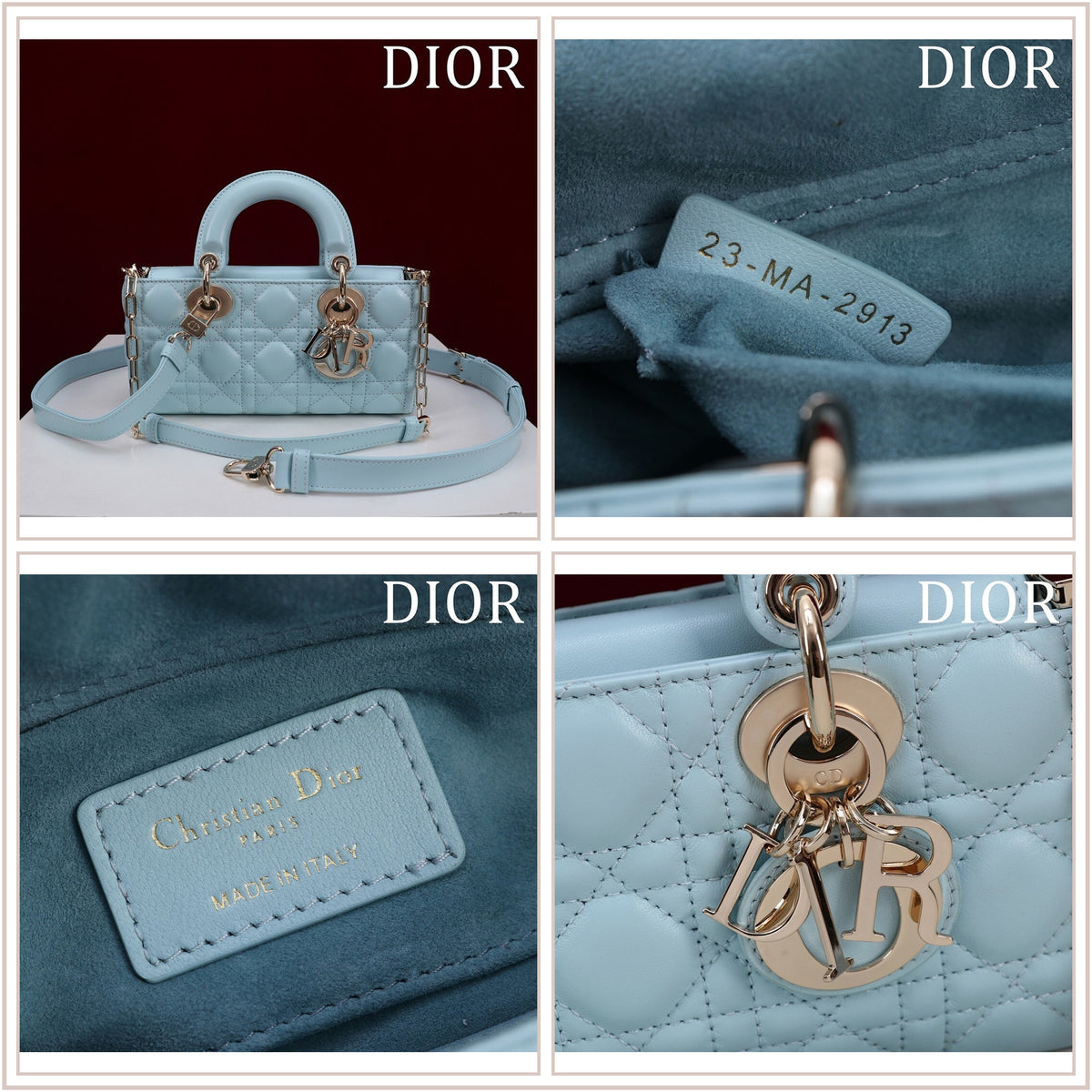 LuxySell Dior Bags 581