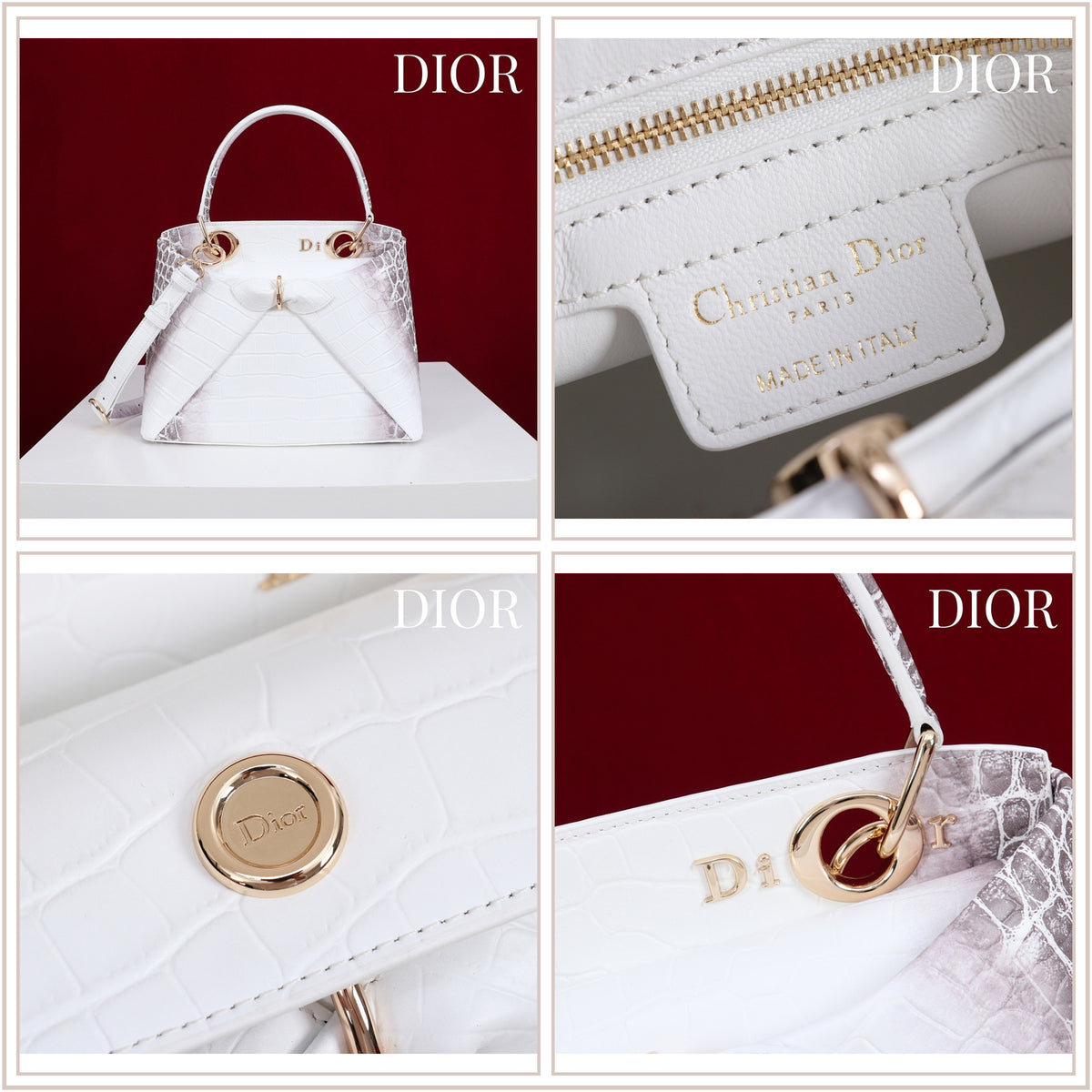 LuxySell Dior Bags 586