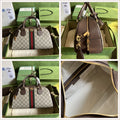 LuxySell Gucci Bags 409